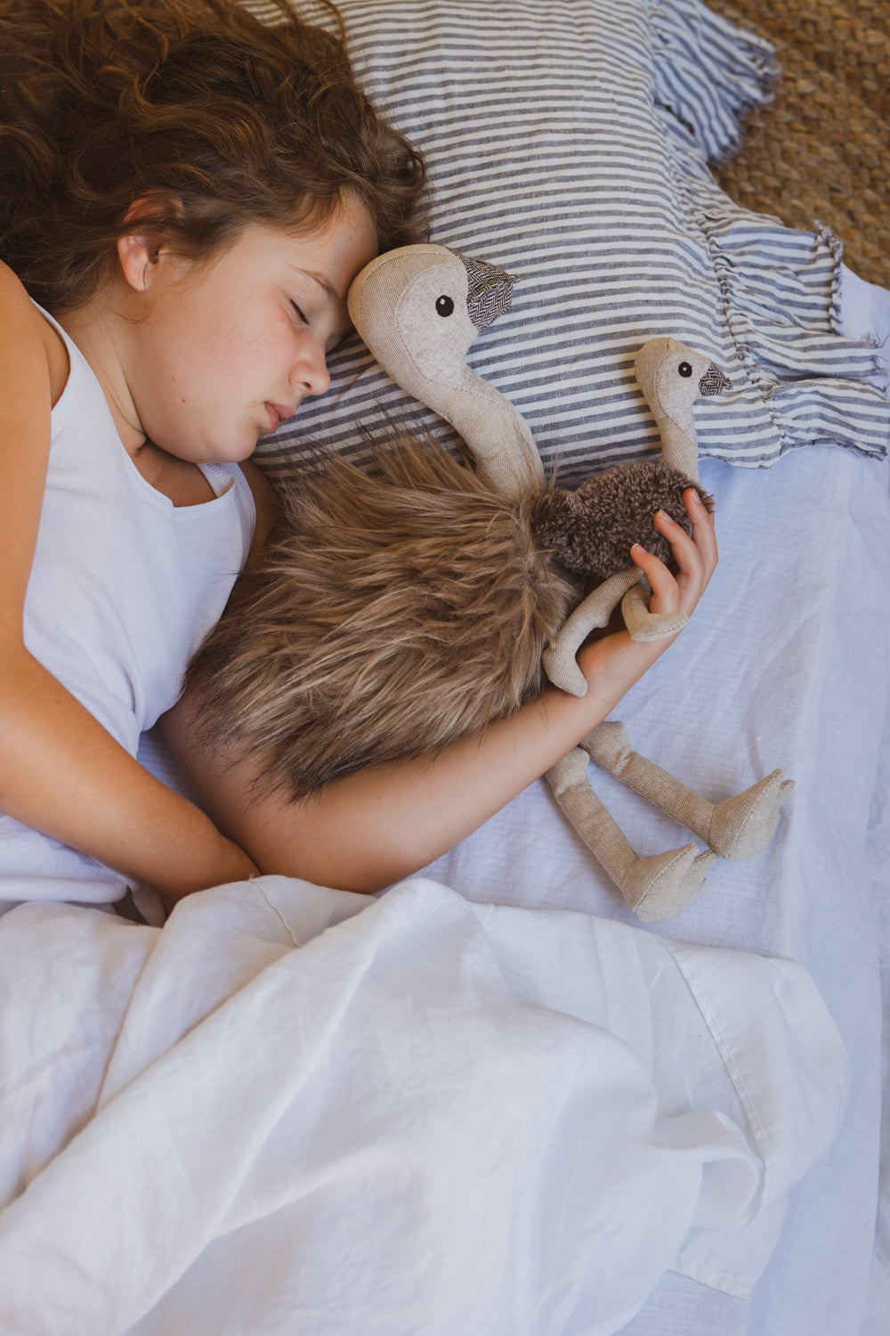 Echo the Emu Toy