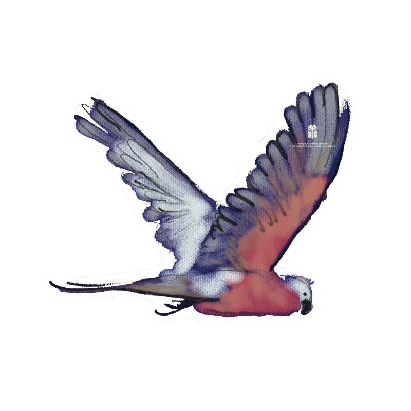 illustration of a pink galah